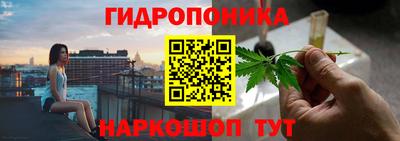 ГАЛЛЮЦИНОГЕННЫЕ ГРИБЫ Гусь-Хрустальный
