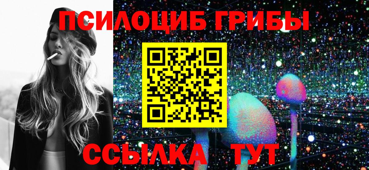 Галлюциногенные грибы Psilocybe Керчь