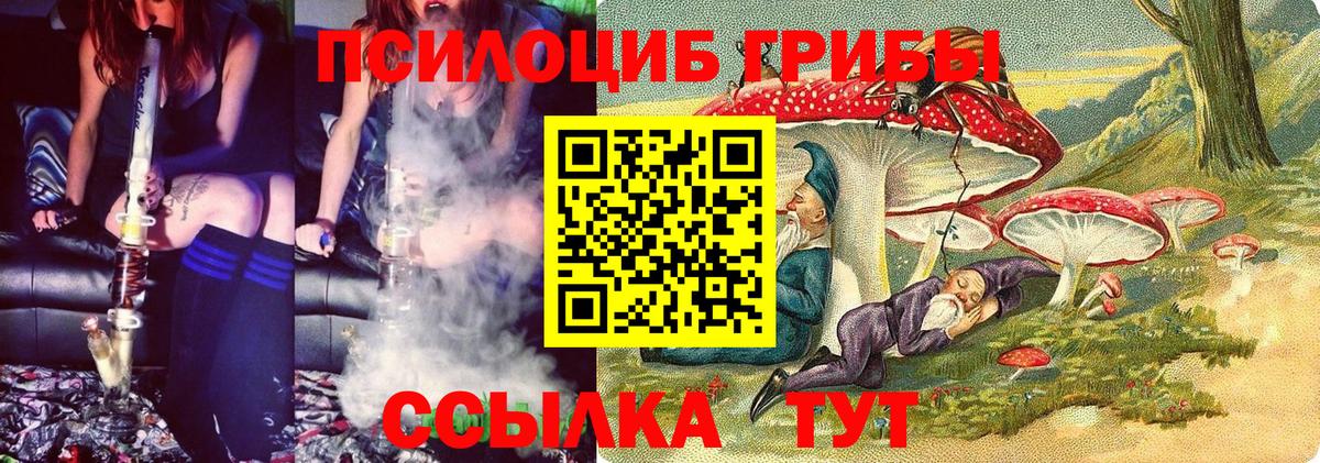 Керчь  Псилоцибиновые грибы прущие грибы  Вход с VPN 